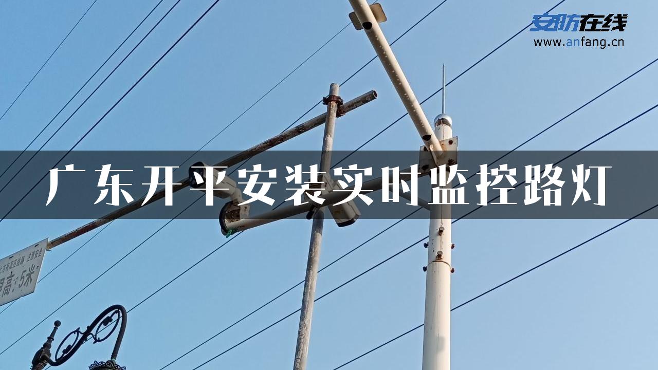 广东开平安装实时监控路灯